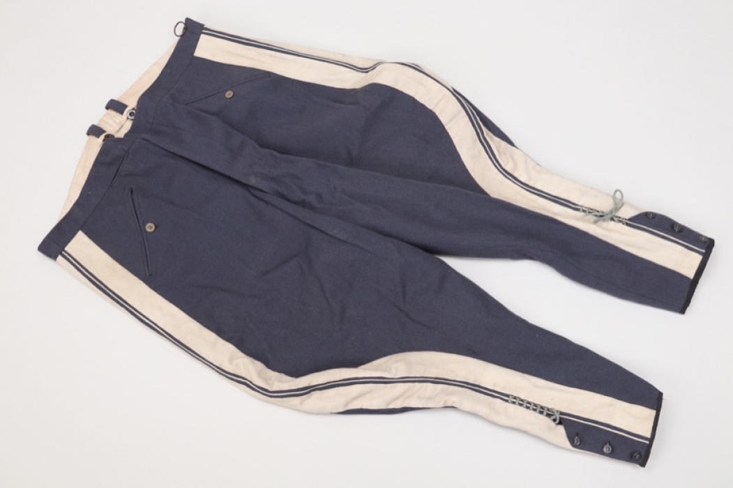 Luftwaffe General's breeches