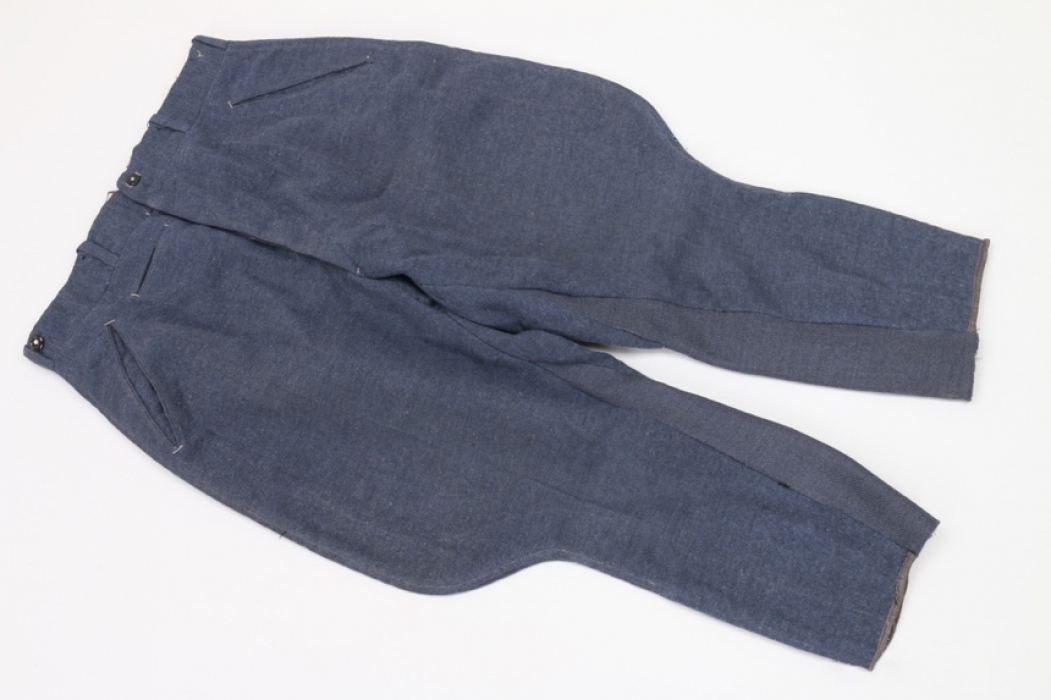 Luftwaffe officer's breeches