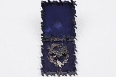 Air Gunner's Badge (Deumer) in case