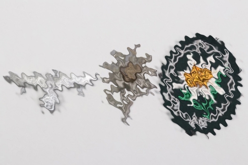 Heer Gebirgsjäger insignia set