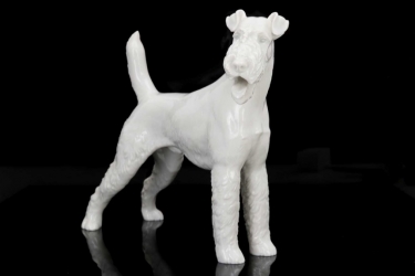 SS Allach - Foxterrier #19 (Kärner)