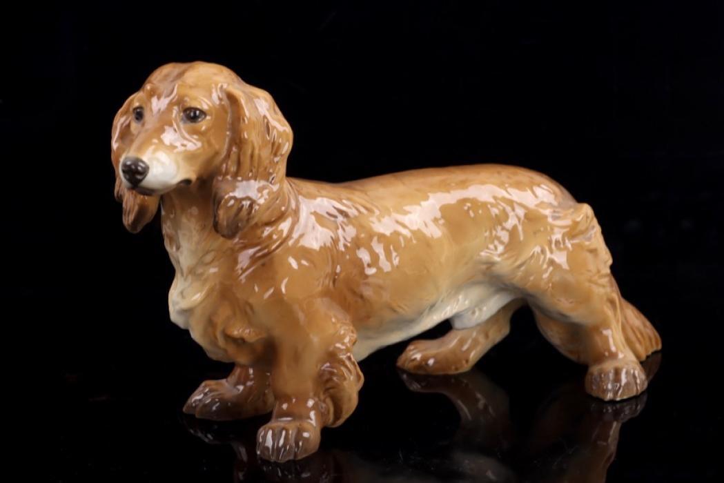 No.75 - Long hair Dachshund -  colored